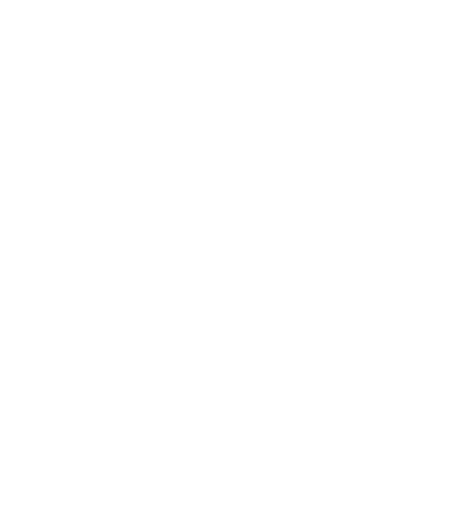 SC Akademi Şimdi Başvur